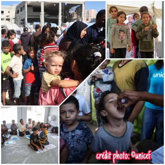 INTERNATIONAL: L’UNICEF SALUE L’ANNONCE D’UN CESSEZ-LE-FEU DANS LA BANDE DE GAZA ET APPELLE À UNE MOBILISATION HUMANITAIRE URGENTE