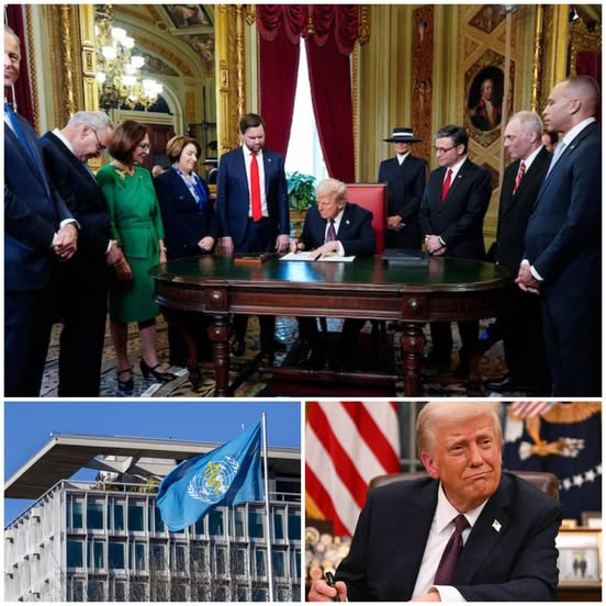 INTERNATIONALE : DONALD TRUMP ACTE LE RETRAIT DES ÉTATS-UNIS DE L’OMS UN CHOIX AUX LOURDES CONSÉQUENCES